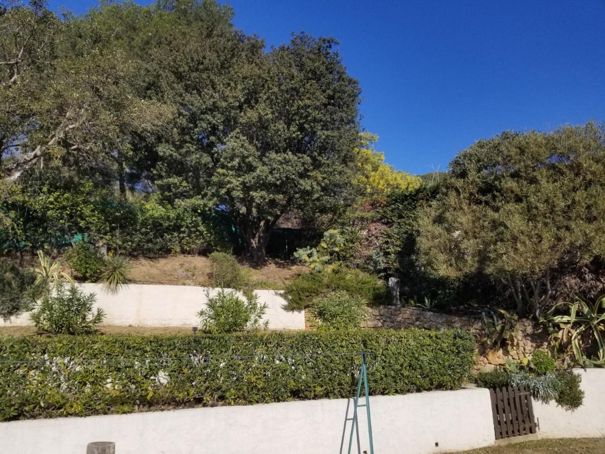 Villa La Louviere La Croix Valmer Golfe De Saint Tropez Экстерьер фото